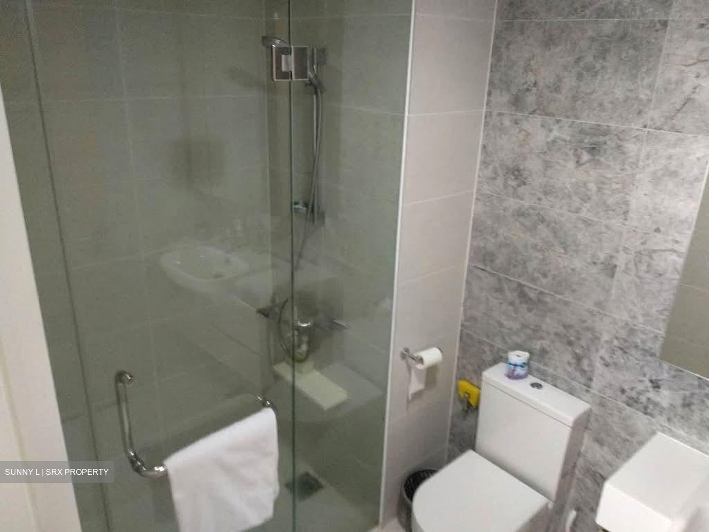 The Lakefront Residences (D22), Condominium #561673201